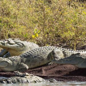 6 day omo river valley tours