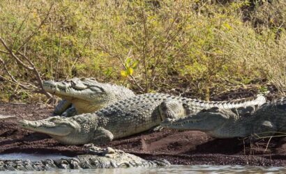 6 day omo river valley tours