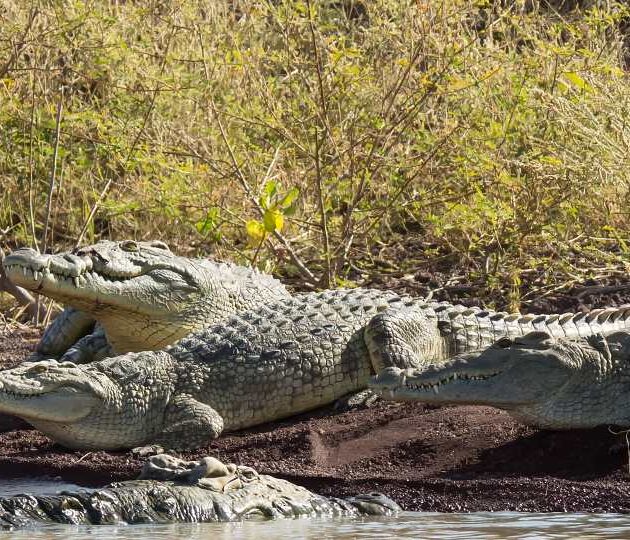 6 day omo river valley tours